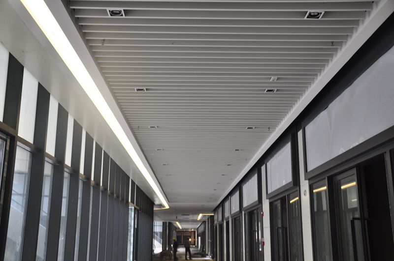 Case of aluminum veneer with column