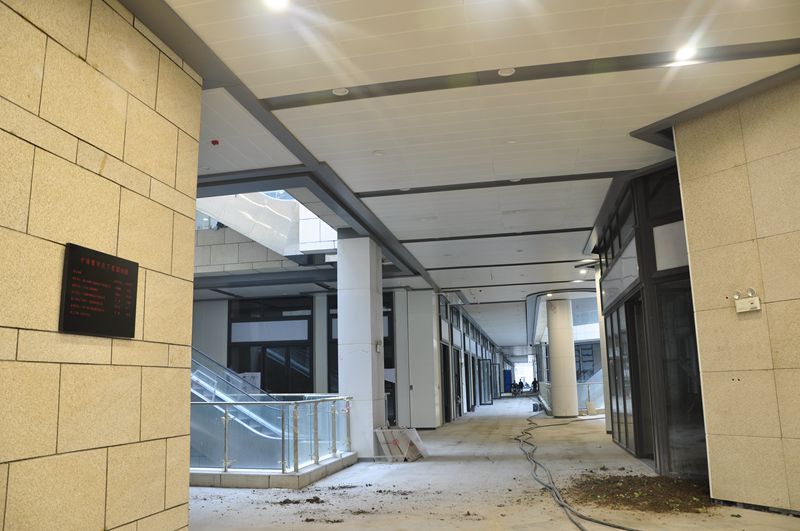 Case of aluminum veneer with column