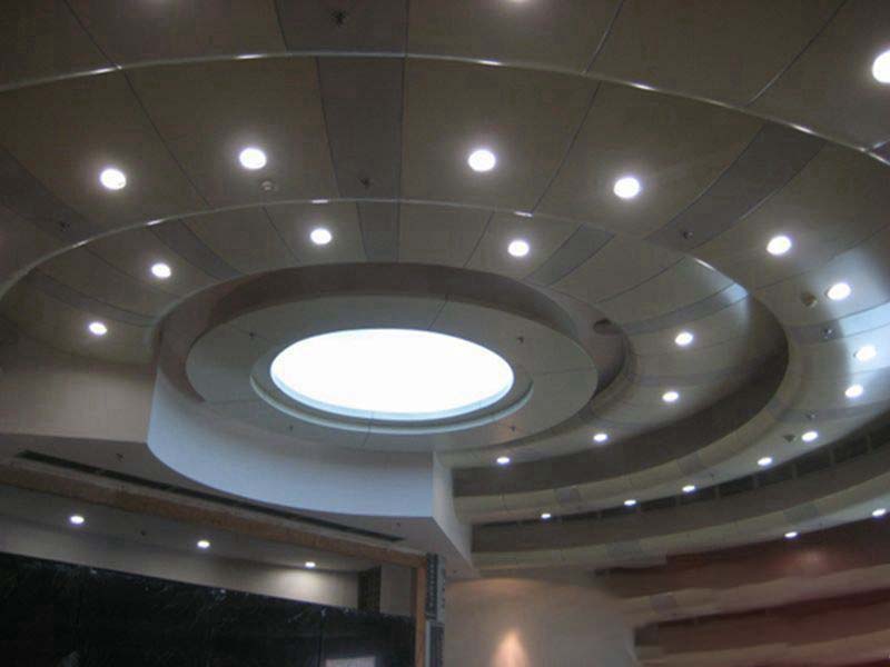 Double curved plate and case